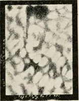 An illustration from A voyage in space; a course of six lectures "adapted to a juvenile auditory" delivered at the Royal Institution at Xmas 1913 (1915)