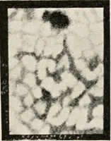 An illustration from A voyage in space; a course of six lectures "adapted to a juvenile auditory" delivered at the Royal Institution at Xmas 1913 (1915)