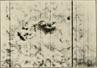 An illustration from A voyage in space; a course of six lectures "adapted to a juvenile auditory" delivered at the Royal Institution at Xmas 1913 (1915)