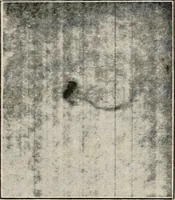 An illustration from A voyage in space; a course of six lectures "adapted to a juvenile auditory" delivered at the Royal Institution at Xmas 1913 (1915)