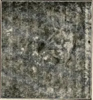 An illustration from A voyage in space; a course of six lectures "adapted to a juvenile auditory" delivered at the Royal Institution at Xmas 1913 (1915)