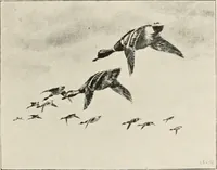 An illustration from A voyage in space; a course of six lectures "adapted to a juvenile auditory" delivered at the Royal Institution at Xmas 1913 (1915)