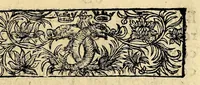 An illustration from Voyages de l'empereur de la Chine dans la Tartarie, : ausquels on a joint une nouvelle découverte au Mexique (1685)