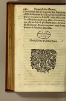 An illustration from Voyages en Afrique, Asie, Indes orientales et occidentales. (1665)