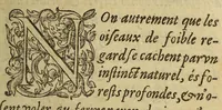 An illustration from Voyages et conquestes du Capitaine Ferdinand Courtois, és Indes Occidentales. : histoire (1588)