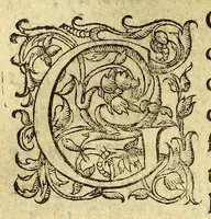 An illustration from Voyages et conquestes du Capitaine Ferdinand Courtois, és Indes Occidentales. : histoire (1588)