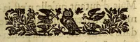 Picture 2 of 5 from Voyages faict par terre depuis Paris jusques a la Chine. Par le Sr. de Feynes ... avec son retour par mer (1630), leaf 11