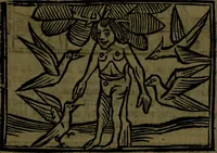 An illustration from The voyages & travels of Sir John Mandevile, Knight, wherein is set down the way to the Holy Land, and to Hierusalem, as also to the lands of the great Caan, and of Prestor John, to Inde, and divers other countries, together with many and strange marvels therein (1684)