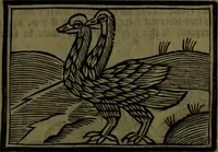 An illustration from The voyages & travels of Sir John Mandevile, Knight, wherein is set down the way to the Holy Land, and to Hierusalem, as also to the lands of the great Caan, and of Prestor John, to Inde, and divers other countries, together with many and strange marvels therein (1684)