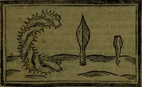 An illustration from The voyages & travels of Sir John Mandevile, Knight, wherein is set down the way to the Holy Land, and to Hierusalem, as also to the lands of the great Caan, and of Prestor John, to Inde, and divers other countries, together with many and strange marvels therein (1684)