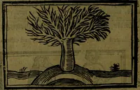 An illustration from The voyages & travels of Sir John Mandevile, Knight, wherein is set down the way to the Holy Land, and to Hierusalem, as also to the lands of the great Caan, and of Prestor John, to Inde, and divers other countries, together with many and strange marvels therein (1684)