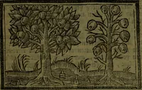 An illustration from The voyages & travels of Sir John Mandevile, Knight, wherein is set down the way to the Holy Land, and to Hierusalem, as also to the lands of the great Caan, and of Prestor John, to Inde, and divers other countries, together with many and strange marvels therein (1684)