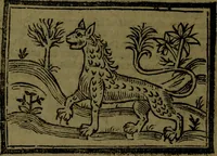 An illustration from The voyages & travels of Sir John Mandevile, Knight, wherein is set down the way to the Holy Land, and to Hierusalem, as also to the lands of the great Caan, and of Prestor John, to Inde, and divers other countries, together with many and strange marvels therein (1684)