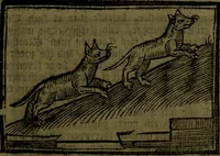 An illustration from The voyages & travels of Sir John Mandevile, Knight, wherein is set down the way to the Holy Land, and to Hierusalem, as also to the lands of the great Caan, and of Prestor John, to Inde, and divers other countries, together with many and strange marvels therein (1684)