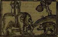An illustration from The voyages & travels of Sir John Mandevile, Knight, wherein is set down the way to the Holy Land, and to Hierusalem, as also to the lands of the great Caan, and of Prestor John, to Inde, and divers other countries, together with many and strange marvels therein (1684)