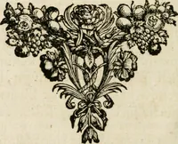 An illustration from Voyagie door Italien, Dalmatien, Grieckenland, en de Levant. Gedaan in de jaren 1675 en 1676 (1689)