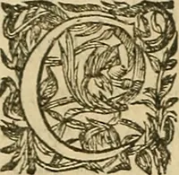 An illustration from Vranologion sive systema variorvm avtorvm... (1630)
