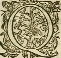 An illustration from Vranologion sive systema variorvm avtorvm... (1630)