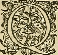 An illustration from Vranologion sive systema variorvm avtorvm... (1630)
