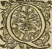 An illustration from Vranologion sive systema variorvm avtorvm... (1630)