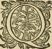 An illustration from Vranologion sive systema variorvm avtorvm... (1630)