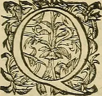 An illustration from Vranologion sive systema variorvm avtorvm... (1630)