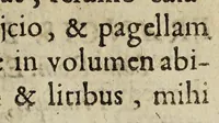 An illustration from Vrbani VIII. Pont. Maximi electio. et Francis Barberini S.R.E. Cardin. & Princ. ad Lud. XIII. Fra. & Nau. regem pontificia legatio. Ex III. tomo annalium Rodolphi Botereii ... (1625)