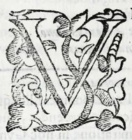 An illustration from Vrbis Patauinae inscriptiones sacrae et prophanae : quibus templorum & altarium exstructiones atq[ue] dedicationes, coenobiorum quoq[ue] aedificia, primorum iuxta ciuium ac recentiorum familię nomina, coniugia, & liberi, magistratus ac honores diuersi : doctorum praeterea omni disciplinarum genere in urbe atq[ue] Gymnasio Patauino clarissimorum, itemq[ue] principum, nobilium & aduenarum, artificum praeterea insignium monumenta (1649)