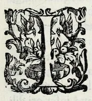 An illustration from Vrbis Patauinae inscriptiones sacrae et prophanae : quibus templorum & altarium exstructiones atq[ue] dedicationes, coenobiorum quoq[ue] aedificia, primorum iuxta ciuium ac recentiorum familię nomina, coniugia, & liberi, magistratus ac honores diuersi : doctorum praeterea omni disciplinarum genere in urbe atq[ue] Gymnasio Patauino clarissimorum, itemq[ue] principum, nobilium & aduenarum, artificum praeterea insignium monumenta (1649)