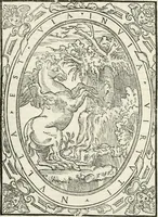 An illustration from Vrbis Romae topographia : nvper ab ipso avctore nonnvllis erroribvs svblatis emandata, addita etiam interpretatione nominum quæ unica litera uel syllaba in antiquis titulis scripta inueniuntur : cvi etiam ab eodem adiectae svnt qvam breuissimæ obseruationes de prænomine, nomine, & cognomine de quibus etsi multi multa scripsere nemo tamen hactenus rei ueritatem attigisse videtur (1544)
