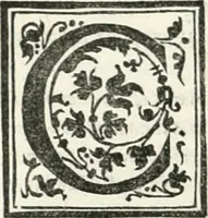 An illustration from Vrbis Romae topographia : nvper ab ipso avctore nonnvllis erroribvs svblatis emandata, addita etiam interpretatione nominum quæ unica litera uel syllaba in antiquis titulis scripta inueniuntur : cvi etiam ab eodem adiectae svnt qvam breuissimæ obseruationes de prænomine, nomine, & cognomine de quibus etsi multi multa scripsere nemo tamen hactenus rei ueritatem attigisse videtur (1544)