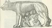 An illustration from Vrbis Romae topographia : nvper ab ipso avctore nonnvllis erroribvs svblatis emandata, addita etiam interpretatione nominum quæ unica litera uel syllaba in antiquis titulis scripta inueniuntur : cvi etiam ab eodem adiectae svnt qvam breuissimæ obseruationes de prænomine, nomine, & cognomine de quibus etsi multi multa scripsere nemo tamen hactenus rei ueritatem attigisse videtur (1544)