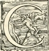 An illustration from Vrbis Romae topographia : nvper ab ipso avctore nonnvllis erroribvs svblatis emandata, addita etiam interpretatione nominum quæ unica litera uel syllaba in antiquis titulis scripta inueniuntur : cvi etiam ab eodem adiectae svnt qvam breuissimæ obseruationes de prænomine, nomine, & cognomine de quibus etsi multi multa scripsere nemo tamen hactenus rei ueritatem attigisse videtur (1544)