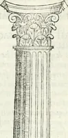 Picture 14 of 37 from Vrbis Romae topographia : nvper ab ipso avctore nonnvllis erroribvs svblatis emandata, addita etiam interpretatione nominum quæ unica litera uel syllaba in antiquis titulis scripta inueniuntur : cvi etiam ab eodem adiectae svnt qvam breuissimæ obseruationes de prænomine, nomine, & cognomine de quibus etsi multi multa scripsere nemo tamen hactenus rei ueritatem attigisse videtur (1544), leaf 71