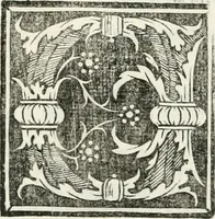 An illustration from Vrbis Romae topographia : nvper ab ipso avctore nonnvllis erroribvs svblatis emandata, addita etiam interpretatione nominum quæ unica litera uel syllaba in antiquis titulis scripta inueniuntur : cvi etiam ab eodem adiectae svnt qvam breuissimæ obseruationes de prænomine, nomine, & cognomine de quibus etsi multi multa scripsere nemo tamen hactenus rei ueritatem attigisse videtur (1544)