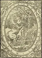 An illustration from Vrbis Romae topographia. Nvper ab ipso avctore nonnvllis erroribvs svblatis emendata. Addita etiam interpretatione Nominum, quae unica Litera, uel Syllaba in antiquis titulis scripta inueniuntur. Cui etiam ab eodem adiectae svnt qvam-breuissimae obseruationes de praenomine, nomine, & cognomine. De quibus etsi multi multa scriptsere, nemo tamen hactenus rei ueritatem attigisse videtur (1544)