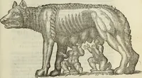 An illustration from Vrbis Romae topographia. Nvper ab ipso avctore nonnvllis erroribvs svblatis emendata. Addita etiam interpretatione Nominum, quae unica Litera, uel Syllaba in antiquis titulis scripta inueniuntur. Cui etiam ab eodem adiectae svnt qvam-breuissimae obseruationes de praenomine, nomine, & cognomine. De quibus etsi multi multa scriptsere, nemo tamen hactenus rei ueritatem attigisse videtur (1544)