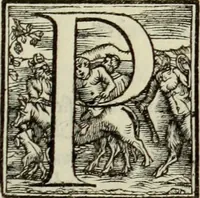 An illustration from Vrbis Romae topographia. Nvper ab ipso avctore nonnvllis erroribvs svblatis emendata. Addita etiam interpretatione Nominum, quae unica Litera, uel Syllaba in antiquis titulis scripta inueniuntur. Cui etiam ab eodem adiectae svnt qvam-breuissimae obseruationes de praenomine, nomine, & cognomine. De quibus etsi multi multa scriptsere, nemo tamen hactenus rei ueritatem attigisse videtur (1544)