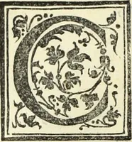 An illustration from Vrbis Romae topographia. Nvper ab ipso avctore nonnvllis erroribvs svblatis emendata. Addita etiam interpretatione Nominum, quae unica Litera, uel Syllaba in antiquis titulis scripta inueniuntur. Cui etiam ab eodem adiectae svnt qvam-breuissimae obseruationes de praenomine, nomine, & cognomine. De quibus etsi multi multa scriptsere, nemo tamen hactenus rei ueritatem attigisse videtur (1544)