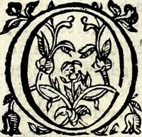 An illustration from VVaerachtighe ende grondighe beschryvinge van het groot ende Goudt-rijck Coninckrijck van Guiana, gheleghen zijnde in America, by noorden de groote Riviere Orelliana, vanden vijfden graed by zuyden totten vijf den graed by noorden de Middellinie in welcke beschryvinghe de rechte gheleghentheyt vande groote ende rijcke Hooftstadt Manoa, Macureguarai, ende andere steden des selvighen coninckrijcks ... (1598)
