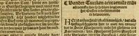 Picture 7 of 16 from VVerelt-boeck, : spieghel ende beeltenisse des gheheelen aerdtbodems, (1595), leaf 115