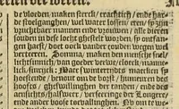 An illustration from VVerelt-boeck, : spieghel ende beeltenisse des gheheelen aerdtbodems, (1595)