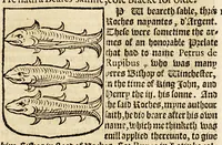 An illustration from VVorkes of armorie : deuided into three bookes, entituled, the concordes of armorie, the armorie of honor, and of cotes and creastes, (1597)