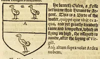 Picture 22 of 33 from VVorkes of armorie : deuided into three bookes, entituled, the concordes of armorie, the armorie of honor, and of cotes and creastes, (1597), leaf 248