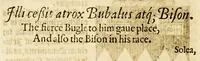 Picture 30 of 33 from VVorkes of armorie : deuided into three bookes, entituled, the concordes of armorie, the armorie of honor, and of cotes and creastes, (1597), leaf 318