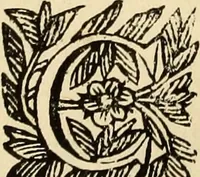 An illustration from Vylssis Aldrovandi ... Serpentvm, et draconv historiae libri dvo : Bartholomaevs Ambrosinvs ... opus concinnauit ... : cum indice memorabilium, nec non uariar linguar locupletissimo (1640)