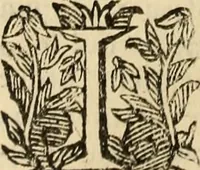 An illustration from Vylssis Aldrovandi ... Serpentvm, et draconv historiae libri dvo : Bartholomaevs Ambrosinvs ... opus concinnauit ... : cum indice memorabilium, nec non uariar linguar locupletissimo (1640)