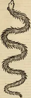 An illustration from Vylssis Aldrovandi ... Serpentvm, et draconv historiae libri dvo : Bartholomaevs Ambrosinvs ... opus concinnauit ... : cum indice memorabilium, nec non uariar linguar locupletissimo (1640)