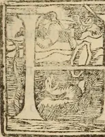 An illustration from Vylssis Aldrovandi ... Serpentvm, et draconv historiae libri dvo : Bartholomaevs Ambrosinvs ... opus concinnauit ... : cum indice memorabilium, nec non uariar linguar locupletissimo (1640)