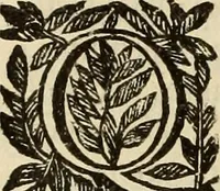 An illustration from Vylssis Aldrovandi ... Serpentvm, et draconv historiae libri dvo : Bartholomaevs Ambrosinvs ... opus concinnauit ... : cum indice memorabilium, nec non uariar linguar locupletissimo (1640)